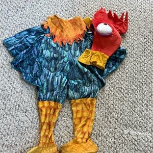 Colorful Rooster Kids Costume